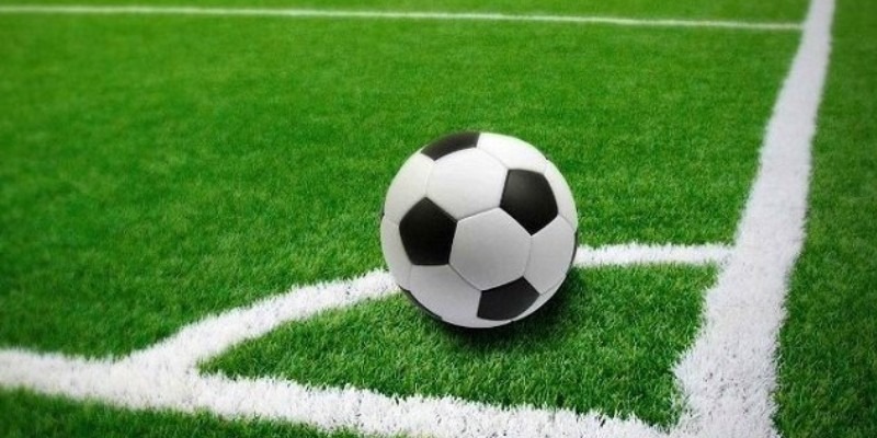 Tìm hiểu những điều cần chú ý khi tham gia Vinbet để tránh rủi ro