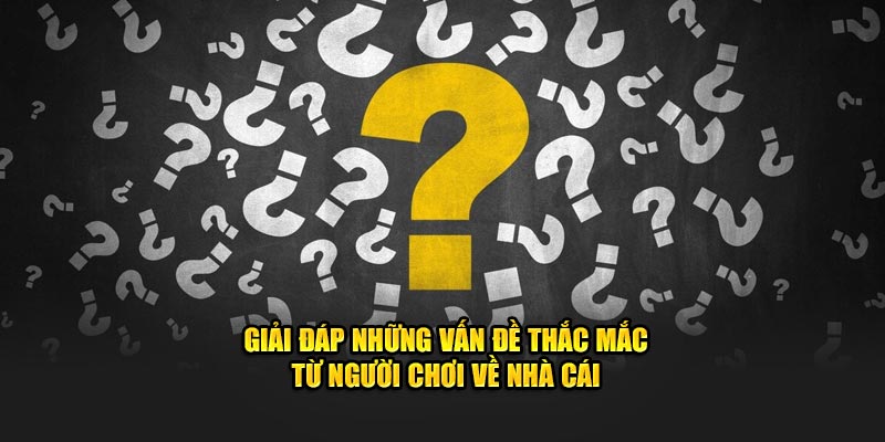 Các câu hỏi liên quan vinbet về cá cược