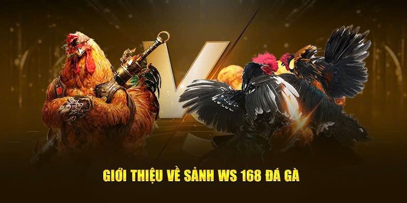 Giới thiệu sân chơi đá gà ws168 đẳng cấp